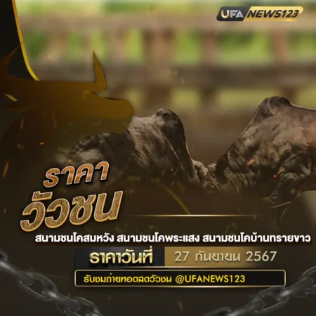 ราคาวัวชน 27 กันยายน 2567