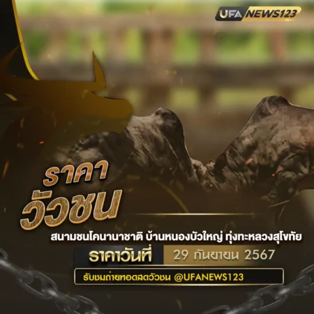 ราคาวัวชน 29 กันยายน 2567