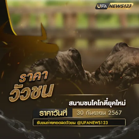 ราคาวัวชน 30 กันยายน 2567