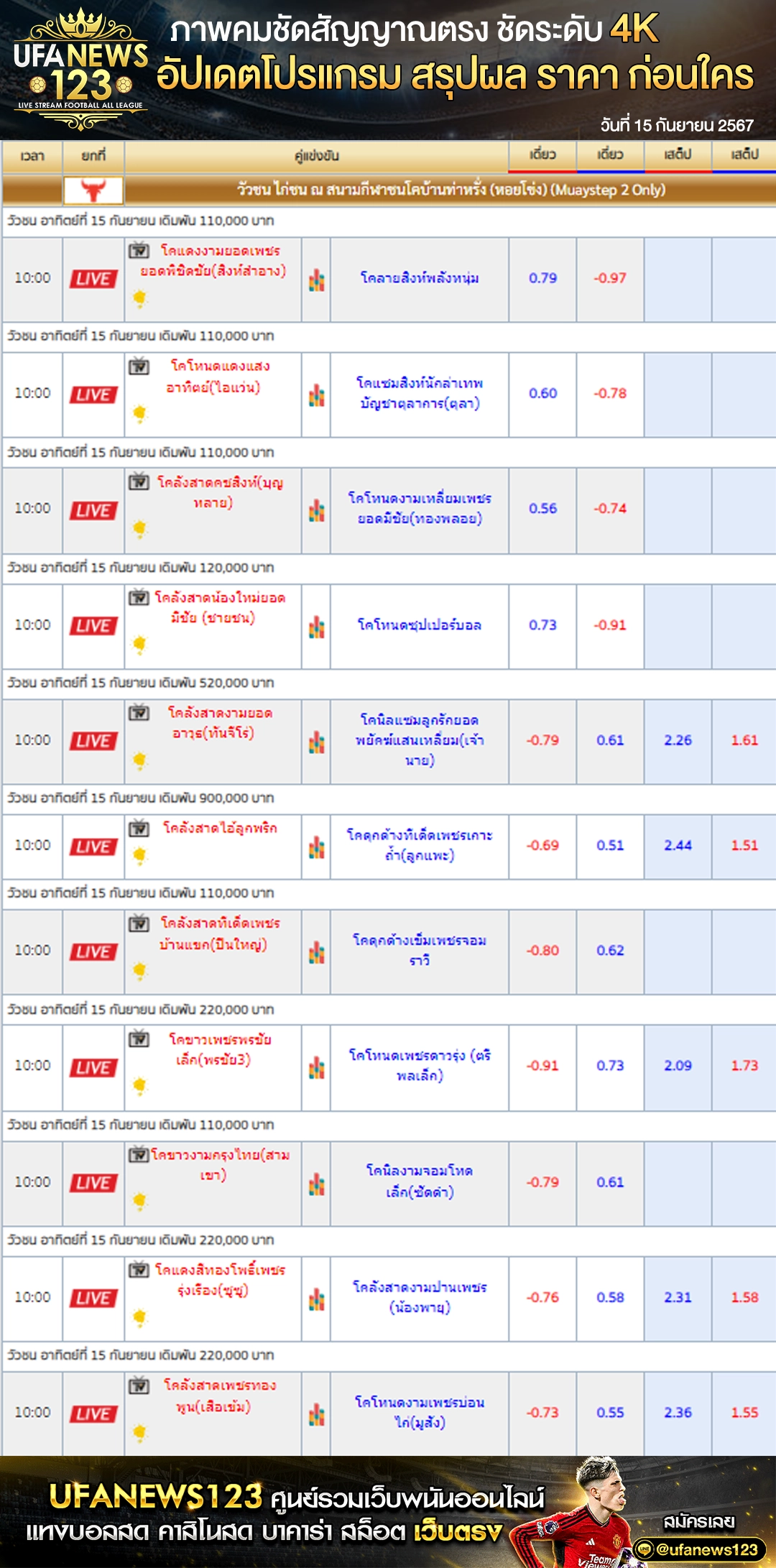 ราคาวัวชน สนามชนโคบ้านท่าหรั่ง 15 กันยายน 2567