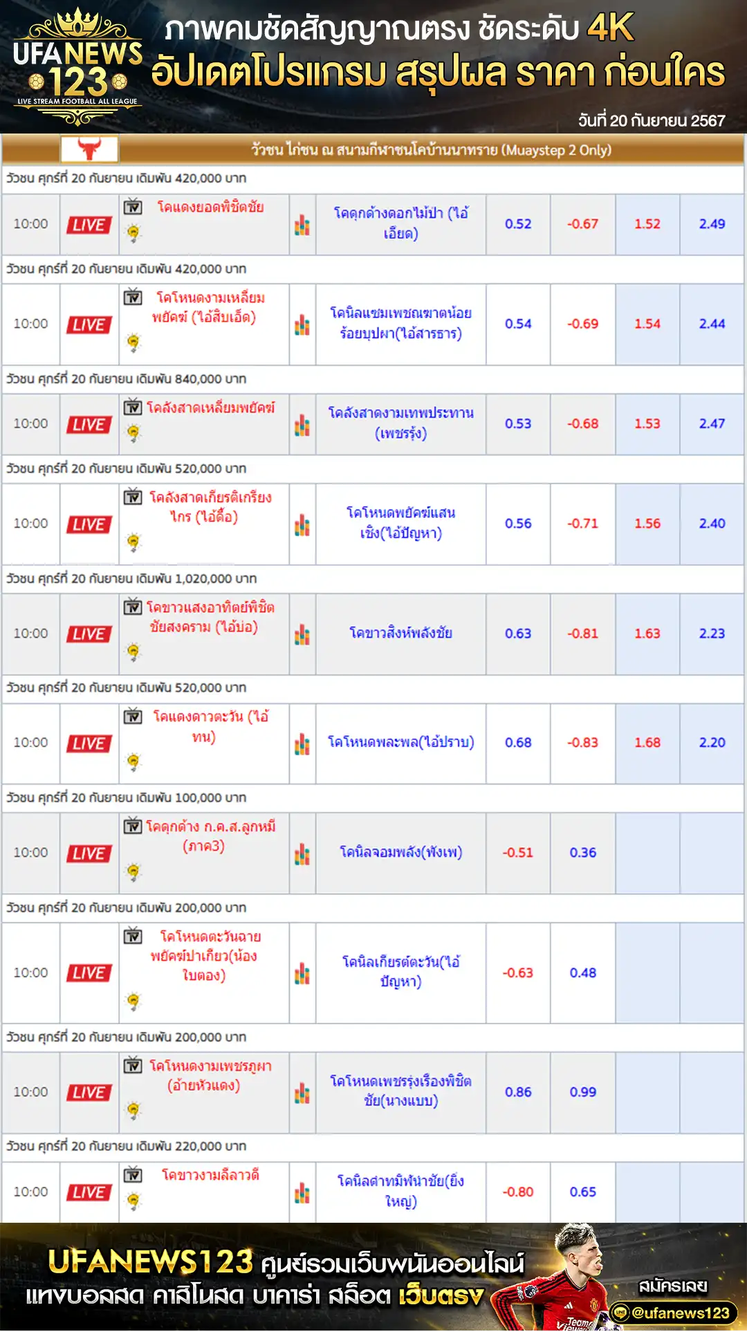 ราคาวัวชน สนามชนโคบ้านนาทราย เริ่มชนเวลา 10.00 น. 20 กันยายน 2567