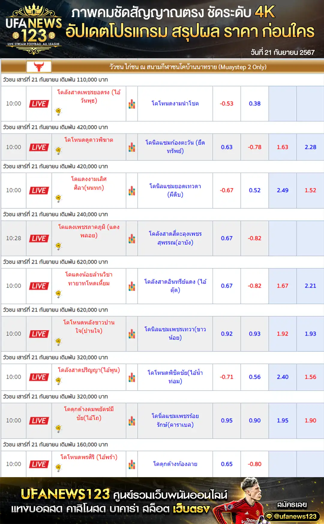 ราคาวัวชน สนามชนโคบ้านนาทราย เริ่มชนเวลา 10.00 น. 21 กันยายน 2567