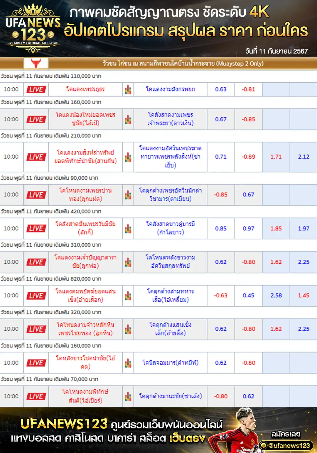 ราคาวัวชน สนามกีฬาชนโคบ้านเสาธงเตเดี้ยม เริ่มชนเวลา 10:30 น. 11 กันยายน 2567