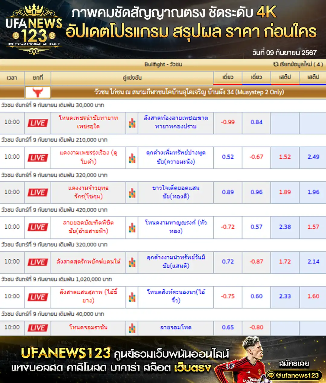 ราคาวัวชน สนามชนโคบ้านพัง 34 เริ่มชนเวลา 10:30 น. 09 กันยายน 02567