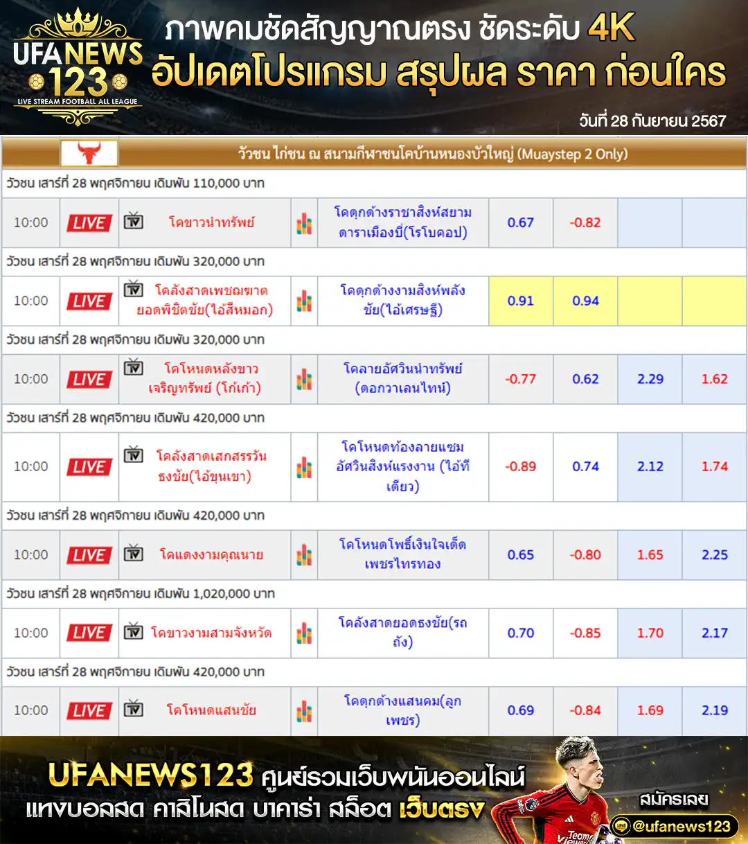 ราคาวัวชน สนามชนโคบ้านหนองบัวใหญ่ เริ่มชนเวลา 10.30 น. 28 กันยายน 2567