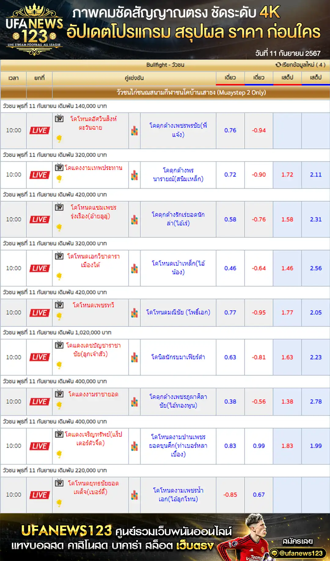 ราคาวัวชน สนามกีฬาชนโคบ้านเสาธงเตเดี้ยม เริ่มชนเวลา 10:30 น. 11 กันยายน 2567