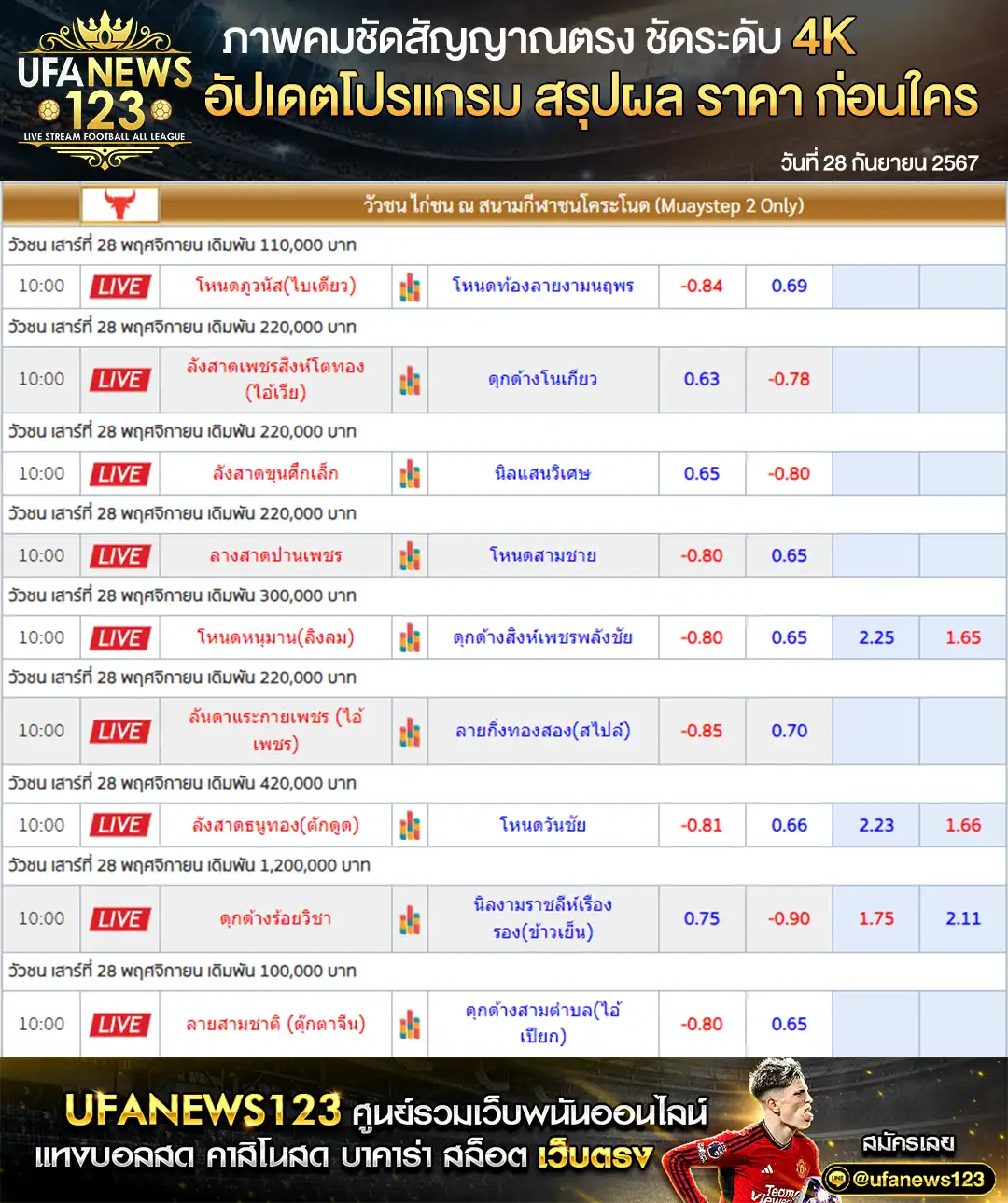 ราคาวัวชน สนามชนโคระโนด เริ่มชนเวลา 10.30 น. 28 กันยายน 2567