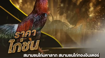 ราคาไก่ชน 07 กันยายน 2567