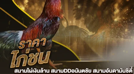 ราคาไก่ชน 15 กันยายน 2567