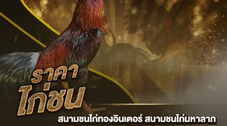 ราคาไก่ชน 21 กันยายน 2567