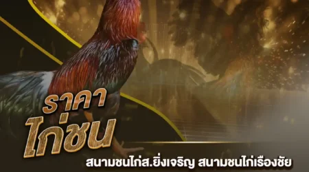 ราคาไก่ชน 22 กันยายน 2567