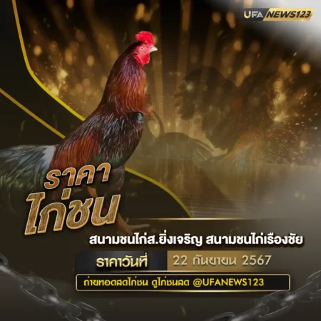 ราคาไก่ชน 22 กันยายน 2567