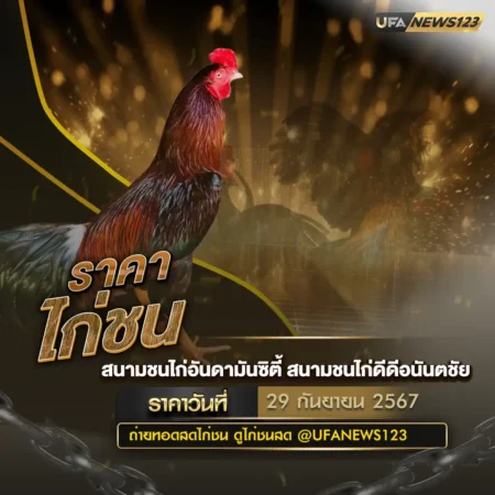 ราคาไก่ชน 29 กันยายน 2567