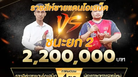 เทปไก่ชน ราชสีห์ชายแดนโอเสม็ด VS น้องภูผาทางสายใหม่ 15 กันยายน 2567