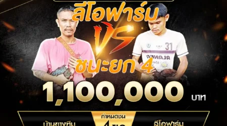 เทปไก่ชน บ้านยางทีม VS ลีโอฟาร์ม 15 กันยายน 2567