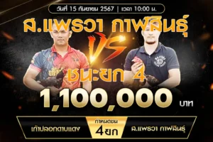 เทปไก่ชน เก้าปลอกดาบแดง VS ส.แพรวา กาฬสินธ์ุ 15 กันยายน 2567