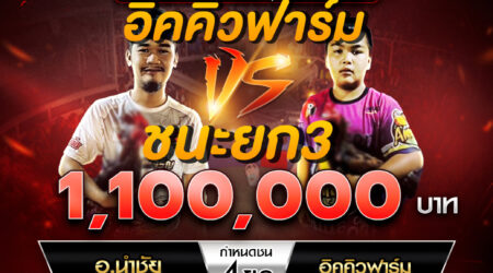 เทปไก่ชน อ.นำชัย VS อิคคิวฟาร์ม 28 กันยายน 2567