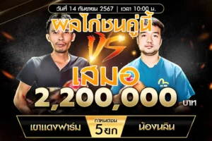 เทปไก่ชน เขาแดงฟาร์ม VS น้องนลิน 14 กันยายน 2567