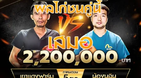 เทปไก่ชน เขาแดงฟาร์ม VS น้องนลิน 14 กันยายน 2567