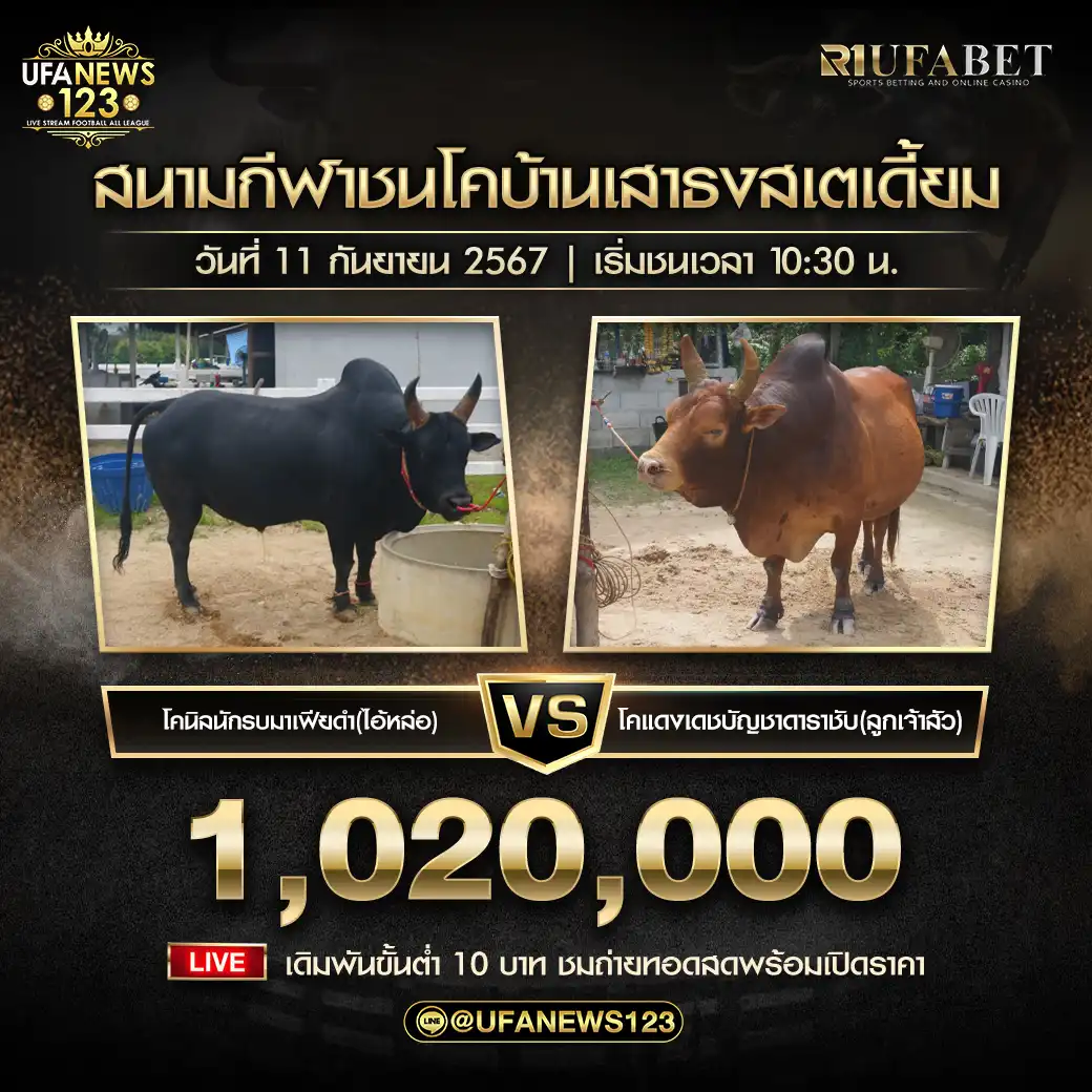 แดงเดชบัญชาราชาชัย (ลูกเจ้าสัว) VS นิลนักรบมาเฟียร์ดำ (ไอ้หล่อ) ชิงรางวัล 1,020,000 บาท