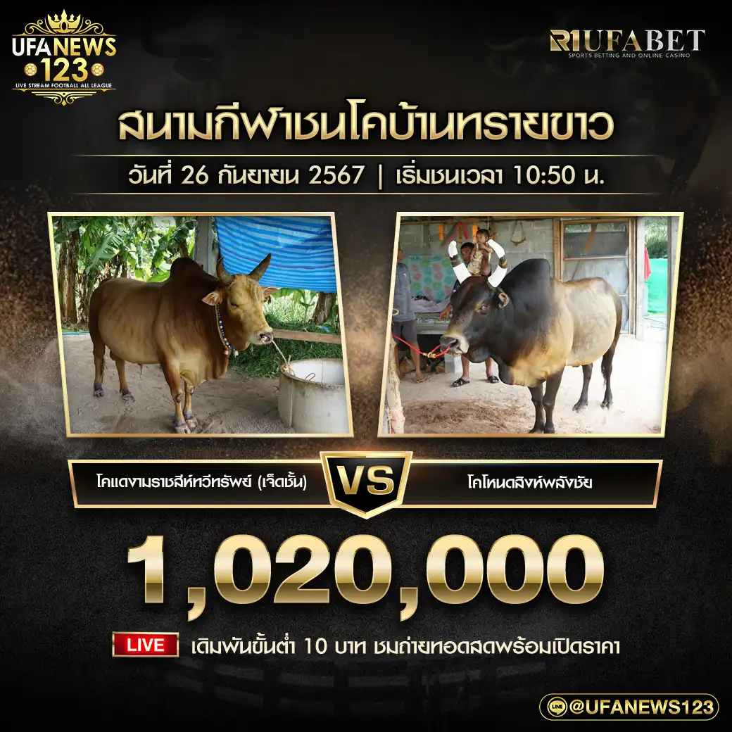 โคแดงงามราชสีห์ทวีทรัพย์ (เจ็ดชั้น) VS โคโหนดสิงห์พลังชัย ชิงรางวัล 1,020,000 บาท