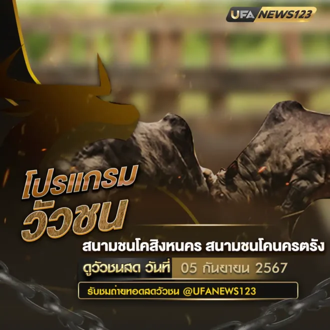 โปรแกรมวัวชน 05 กันยายน 2567