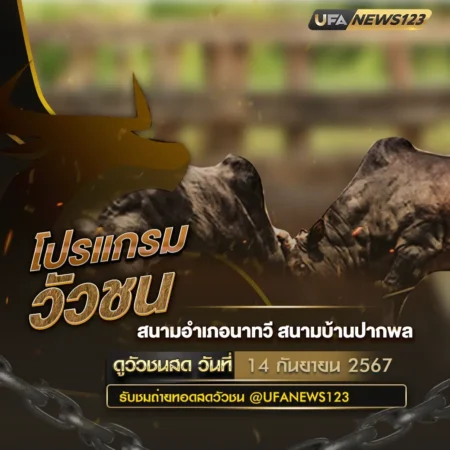 โปรแกรมวัวชน 14 กันยายน 2567