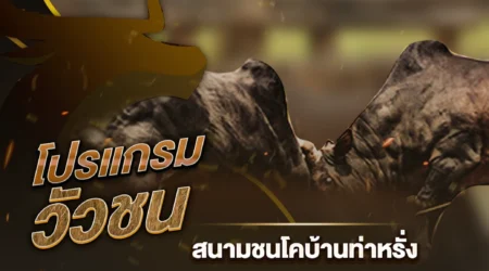 โปรแกรมวัวชน 15 กันยายน 2567