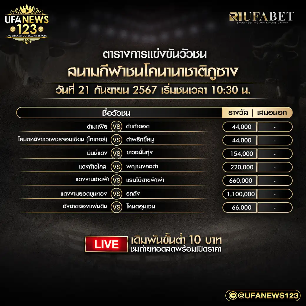 โปรแกรมวัวชน สนามชนโคนานาชาติภูซาง เริ่มเวลา 10:30 น. 21 กันยายน 2567