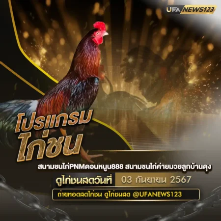 โปรแกรมไก่ชน 03 กันยายน 2567