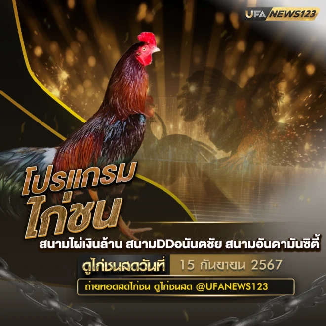 โปรแกรมไก่ชน 15 กันยายน 2567