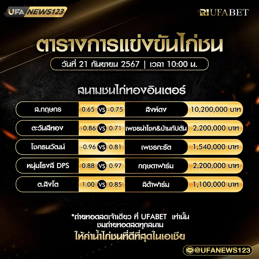 โปรแกรมไก่ชน สนามชนไก่ทองอินเตอร์ เริ่มเวลา 10.00 น. 21 กันยายน 2567