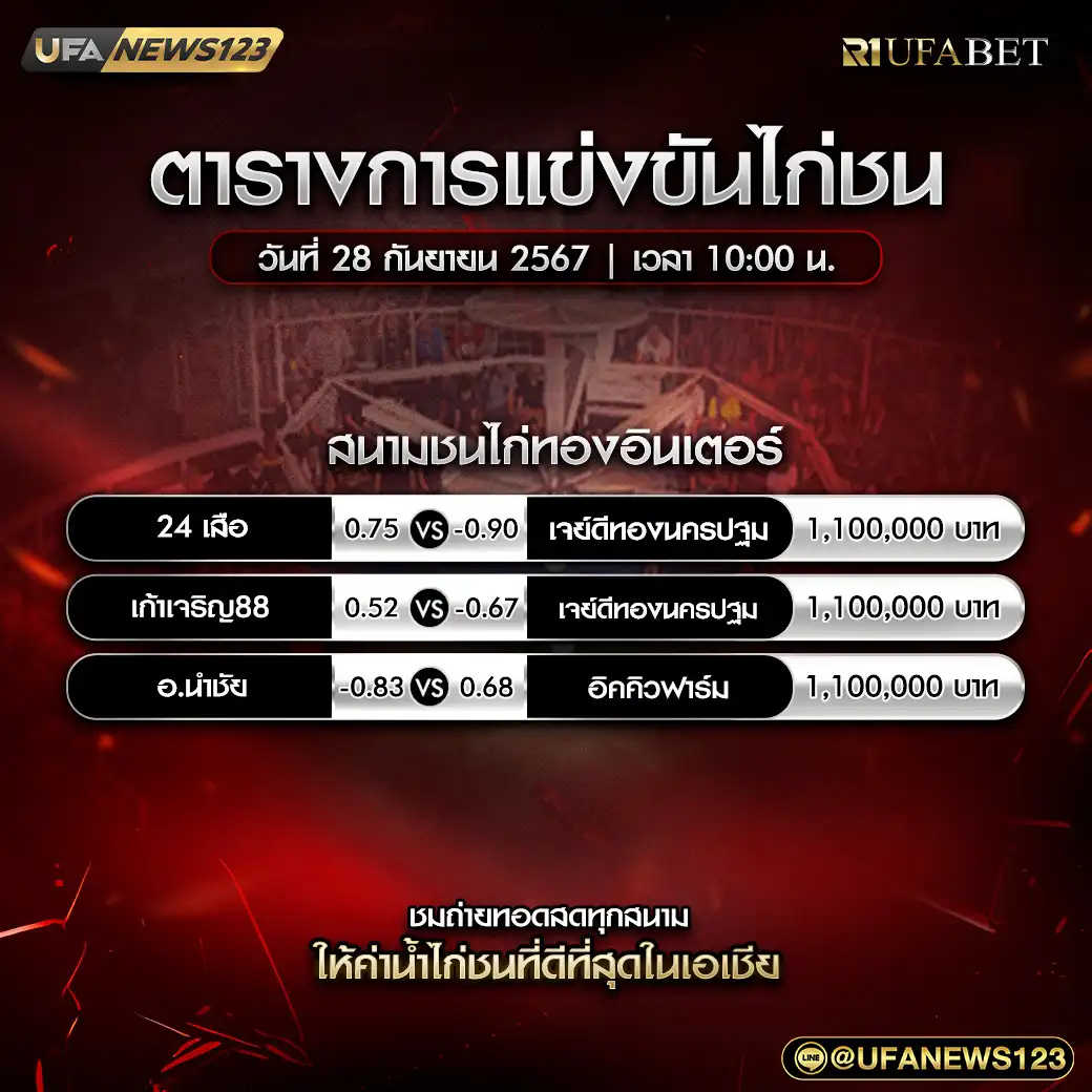 โปรแกรมไก่ชน สนามชนไก่ทองอินเตอร์ เริ่มเวลา 10.00 น. 28 กันยายน 2567