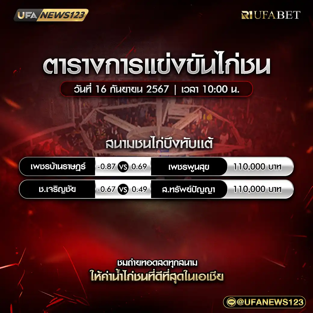 โปรแกรมไก่ชน สนามชนไก่บังทับแต้ เริ่มเวลา 10.00 น. 16 กันยายน 2567