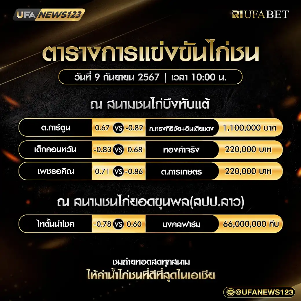 โปรแกรมไก่ชน สนามชนไก่บึงทับแต้ สนามชนไก่ยอดขุนพล เริ่มเวลา 10.00 น. 09 กันยายน 2567