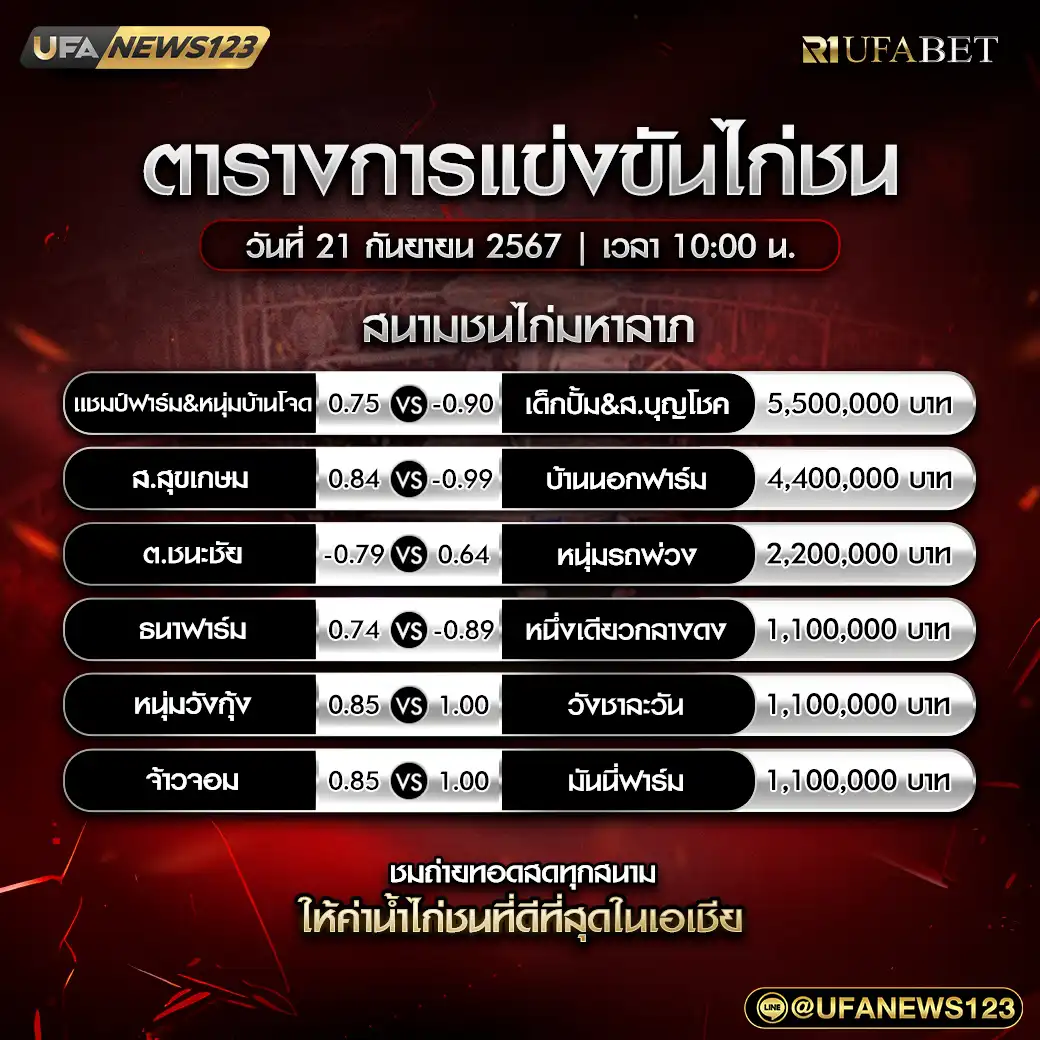 โปรแกรมไก่ชน สนามชนไก่มหาลาภ เริ่มเวลา 10.00 น. 21 กันยายน 2567