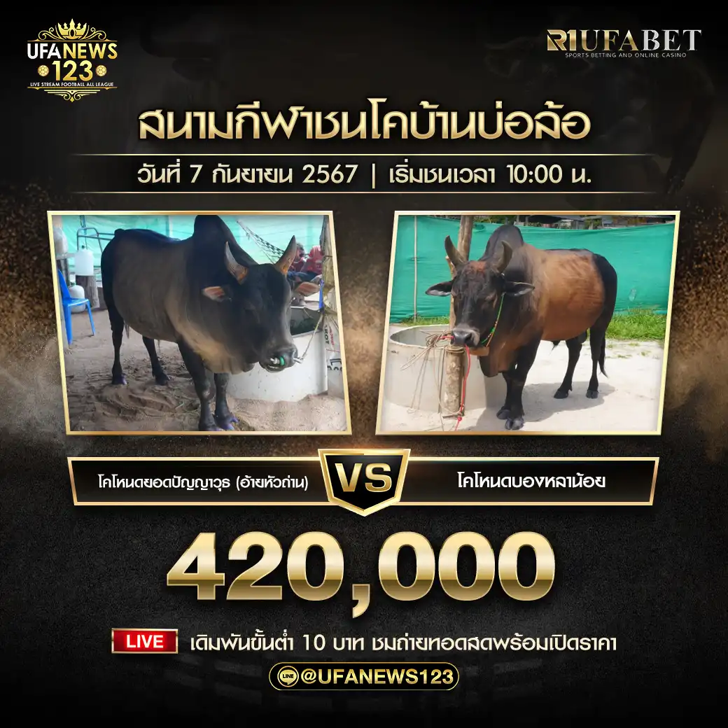 โหนดบองหลาน้อย VS โหนดยอดปัญญาวุธ (อ้ายหัวถ่าน) ชิงรางวัล 420,000 บาท