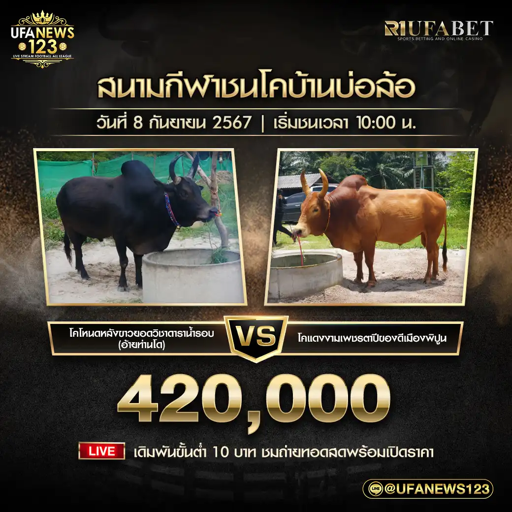 โหนดหลังขาวยอดวิชาดาราน้ำรอบ (อ้ายท่านโด) VS แดงงามเพชรตาปีของดีเมืองพิปูน ชิงรางวัล 420,000 บาท