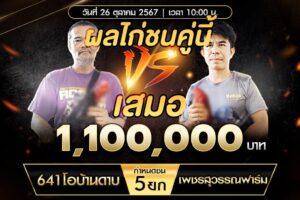 เทปไก่ชน 641โอบ้านดาบ VS เพชรสุวรรณฟาร์ม 26 ตุลาคม 2567