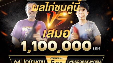 เทปไก่ชน 641โอบ้านดาบ VS เพชรสุวรรณฟาร์ม 26 ตุลาคม 2567