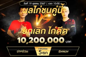 เทปไก่ชน ช่างอ้วน VS สิงห์ดง 19 ตุลาคม 2567