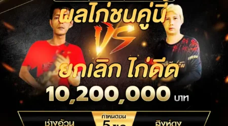 เทปไก่ชน ช่างอ้วน VS สิงห์ดง 19 ตุลาคม 2567