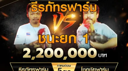 เทปไก่ชน ธีรภัทรฟาร์ม VS โชคชัยฟาร์ม 05 ตุลาคม 2567