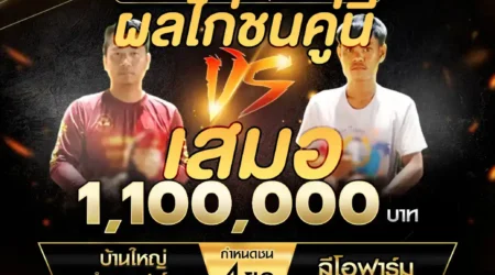 เทปไก่ชน บ้านใหญ่กำพลฟาร์ม VS ลีโอฟาร์ม 12 ตุลาคม 2567