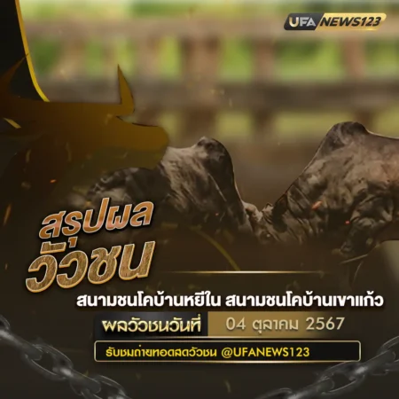 ผลวัวชน 04 ตุลาคม 2567