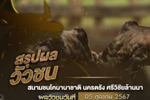 ผลวัวชน 05 ตุลาคม 2567