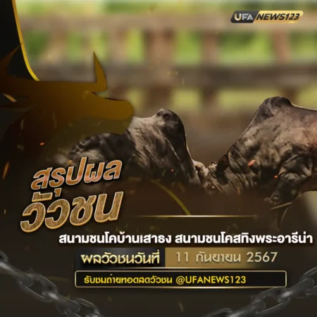 ผลวัวชน 11 ตุลาคม 2567