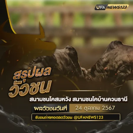 ผลวัวชน 24 ตุลาคม 2567