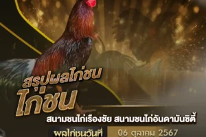 ผลไก่ชน 06 ตุลาคม 2567