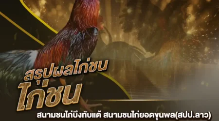 ผลไก่ชน 07 ตุลาคม 2567